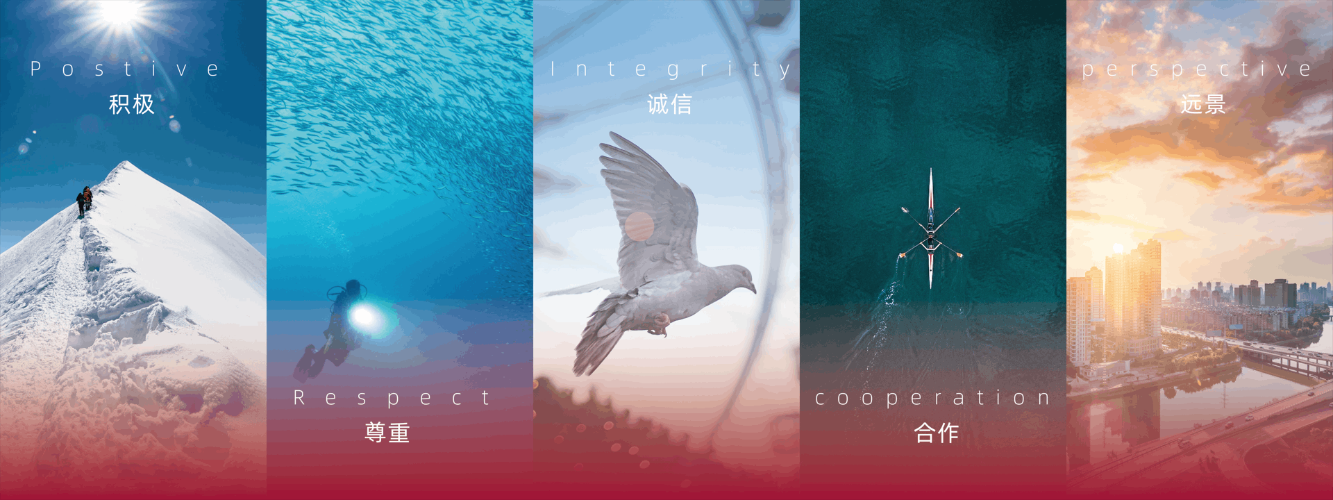 積極,尊重,誠信,合作,遠景 積極,尊重,誠信,合作,遠景