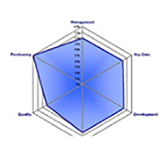 合格供應(yīng)商評(píng)審 合格供應(yīng)商評(píng)審